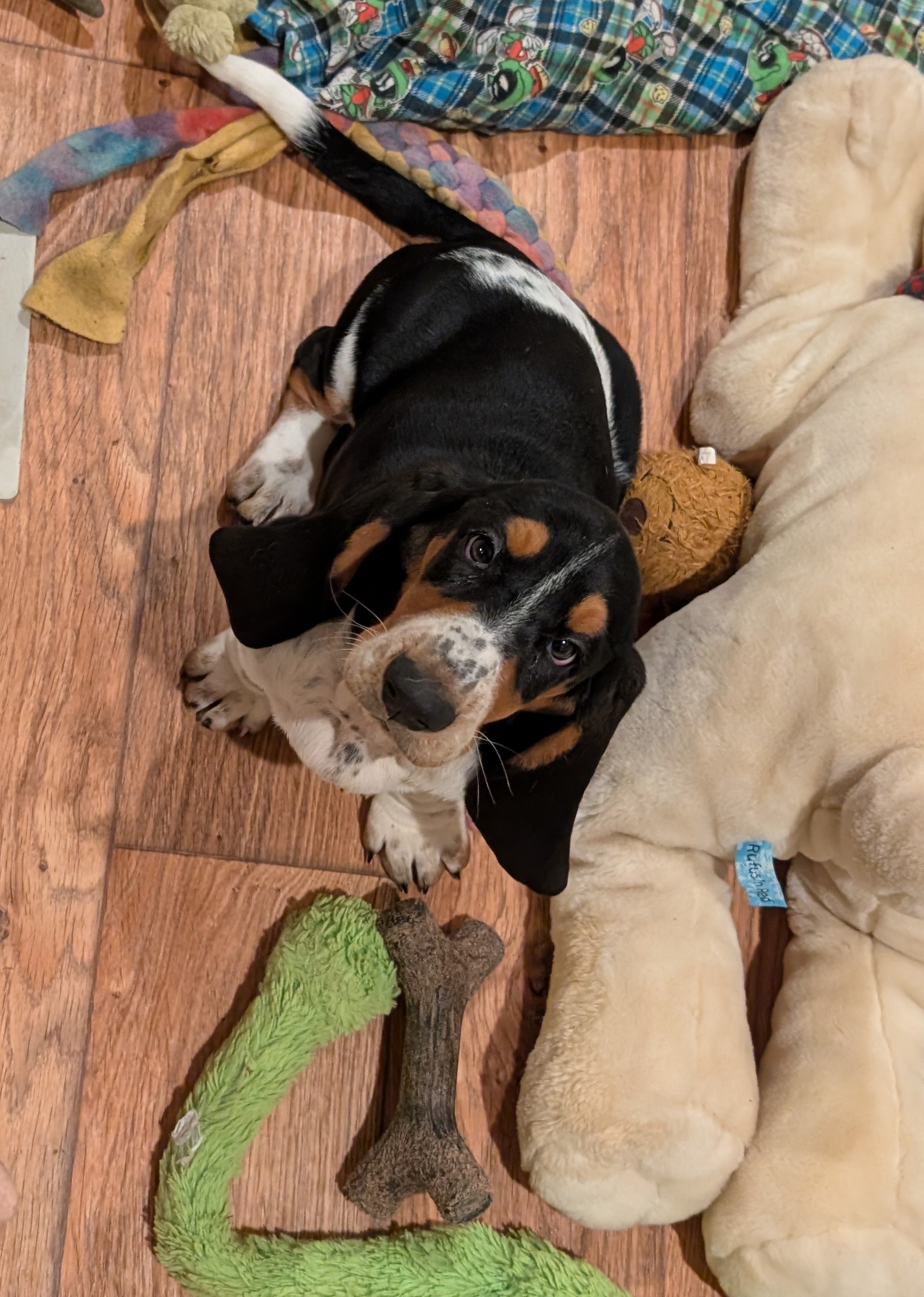 PXL_20250906_015004252.MP~2